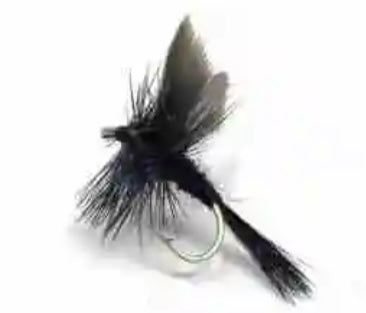 Fishing-fly-black-gnat