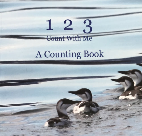 1 2 3 children’s Alaskan counting book, murres swimming in calm water on the cover, kids book