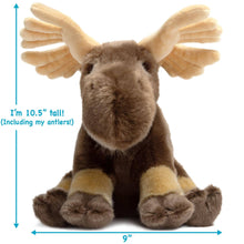 Martin The Moose | 11 Inch Stuffed Animal Plush