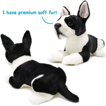 Baxter The Boston Terrier | 8 Inch Stuffed Animal Plush