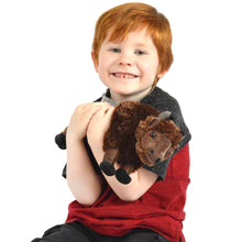 Billy The Bison | 10 Inch Stuffed Animal Plush