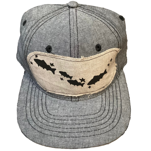 Cordova-Alaska-baseball-cap-hat-adjustable-salmon-stars-gray