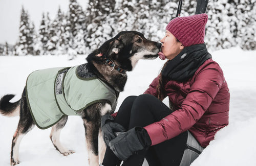 Nikita Dog Coat