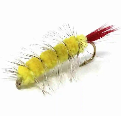 Fishing-fly-wooly-worm-light-yellow