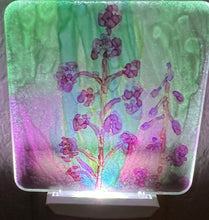 Hand Painted Night Lights