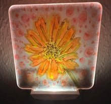 Hand Painted Night Lights