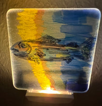 Hand Painted Night Lights