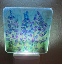 Hand Painted Night Lights