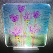 Hand Painted Night Lights