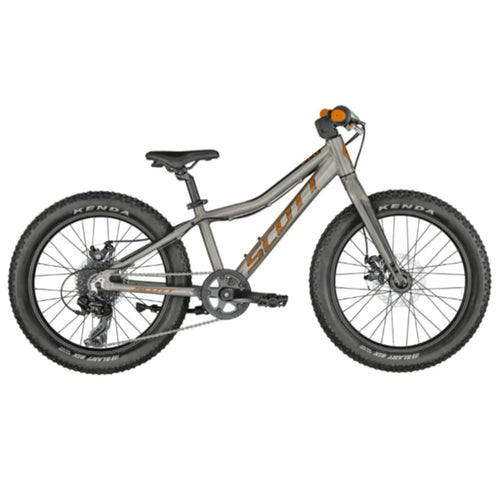 Kids-roxter-20_-bike-silver