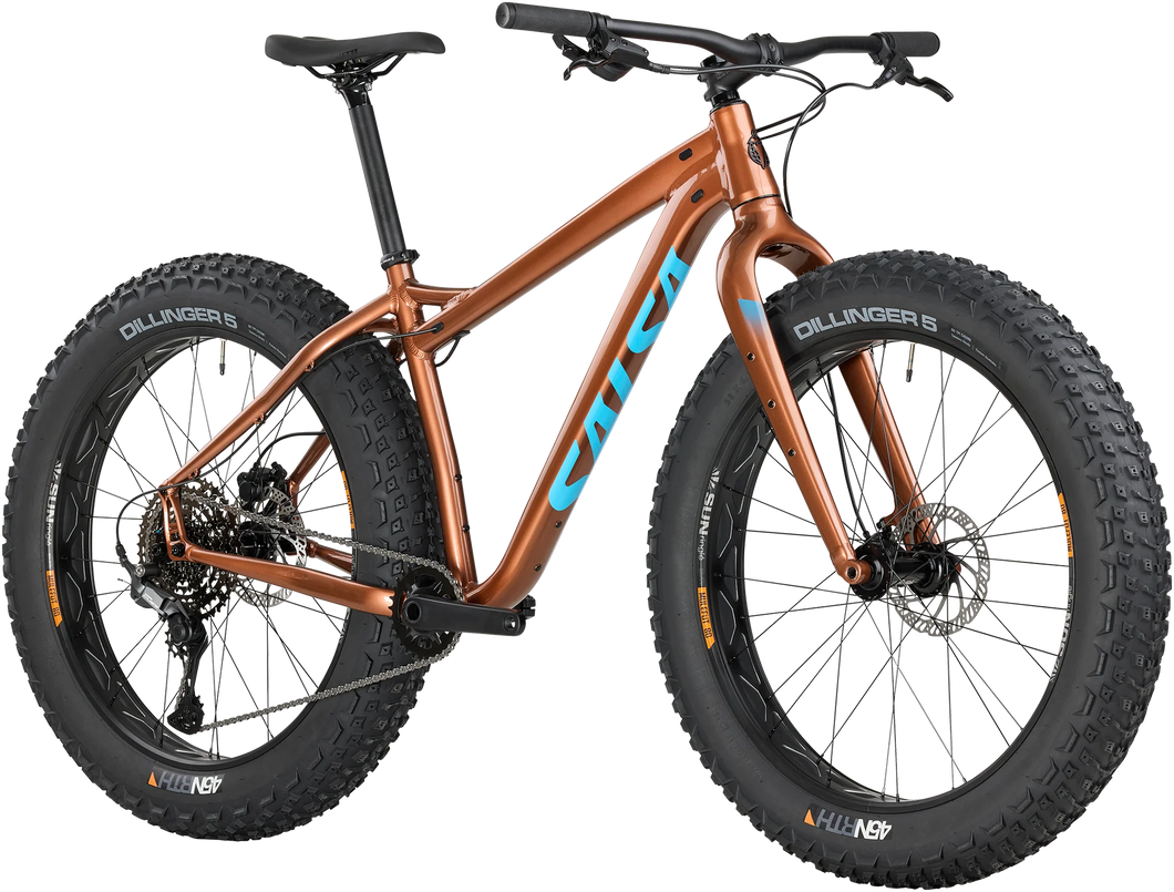 Salsa-heyday-fat-tire-bike-bronze