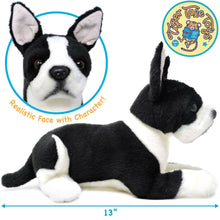 Baxter The Boston Terrier | 8 Inch Stuffed Animal Plush