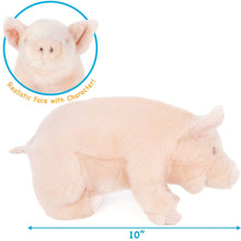 Perla The Pig | 11 Inch Stuffed Animal Plush