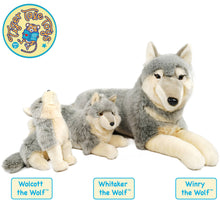 Wolcott the Wolf | 11 Inch Stuffed Animal Plush