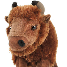 Billy The Bison | 10 Inch Stuffed Animal Plush